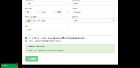 Zanzibet Zimbabwe Register – Easy Sign Up Guide for 2023.